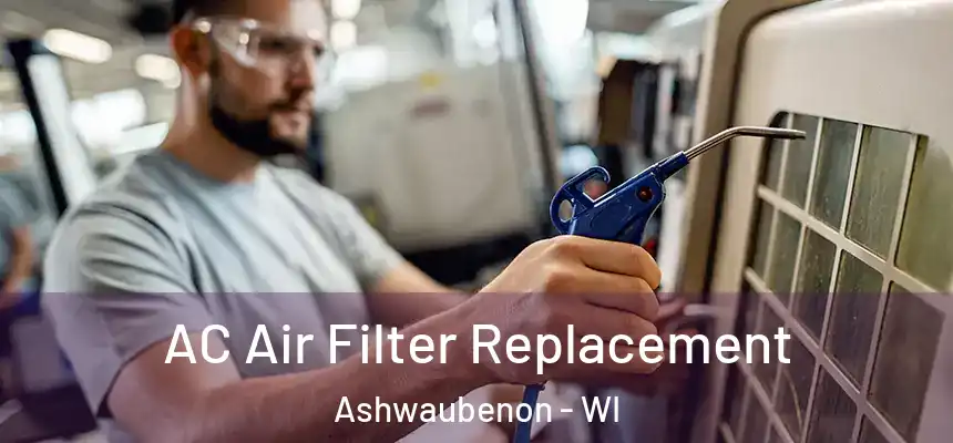 AC Air Filter Replacement Ashwaubenon - WI