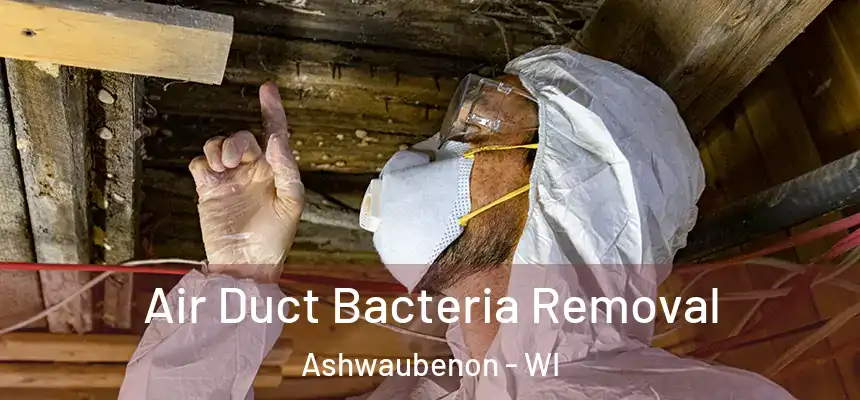 Air Duct Bacteria Removal Ashwaubenon - WI