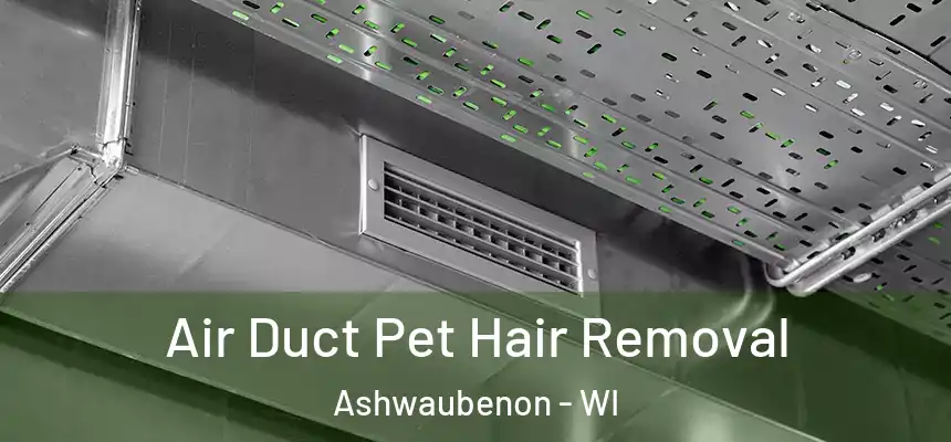  Air Duct Pet Hair Removal Ashwaubenon - WI