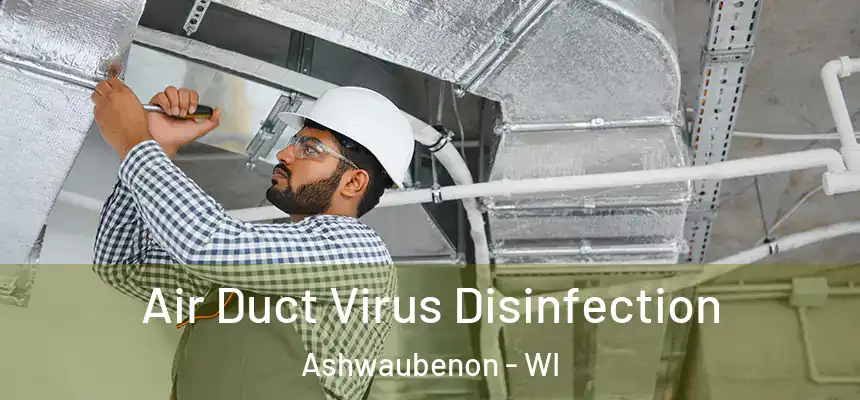  Air Duct Virus Disinfection Ashwaubenon - WI