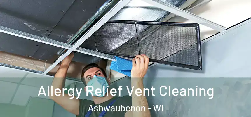 Allergy Relief Vent Cleaning Ashwaubenon - WI