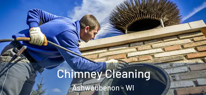 Chimney Cleaning Ashwaubenon - WI