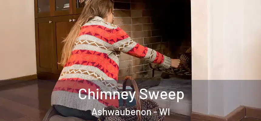 Chimney Sweep Ashwaubenon - WI