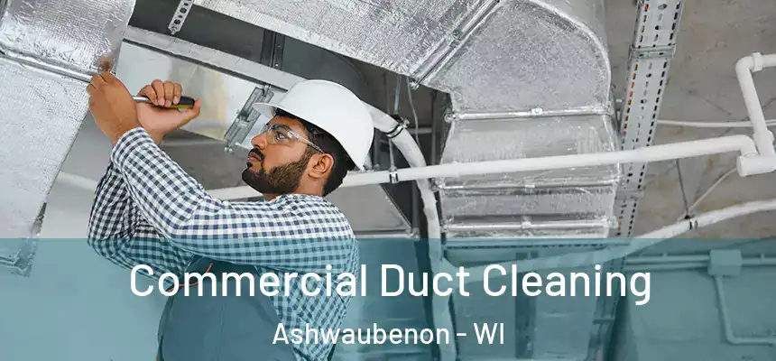 Commercial Duct Cleaning Ashwaubenon - WI