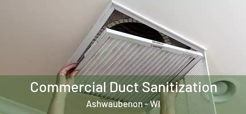 Commercial Duct Sanitization Ashwaubenon - WI