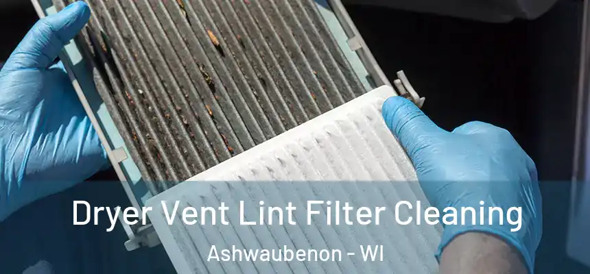 Dryer Vent Lint Filter Cleaning Ashwaubenon - WI