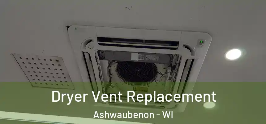 Dryer Vent Replacement Ashwaubenon - WI