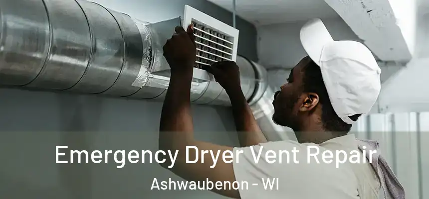 Emergency Dryer Vent Repair Ashwaubenon - WI