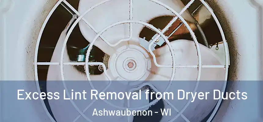  Excess Lint Removal from Dryer Ducts Ashwaubenon - WI
