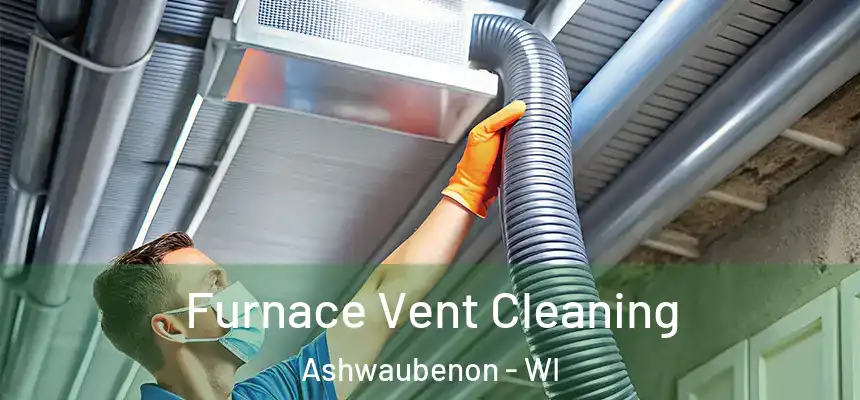 Furnace Vent Cleaning Ashwaubenon - WI