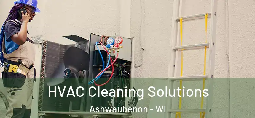  HVAC Cleaning Solutions Ashwaubenon - WI