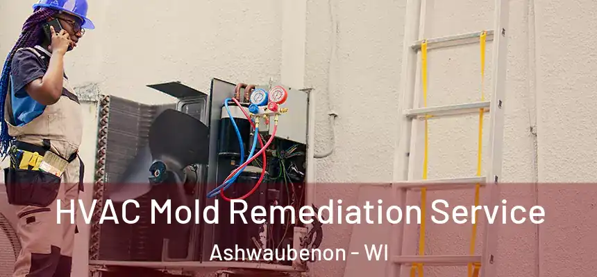  HVAC Mold Remediation Service Ashwaubenon - WI