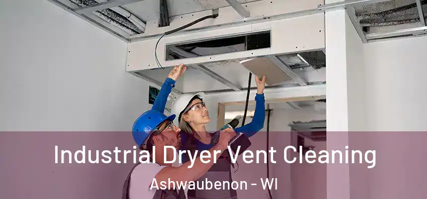  Industrial Dryer Vent Cleaning Ashwaubenon - WI