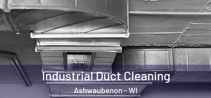 Industrial Duct Cleaning Ashwaubenon - WI