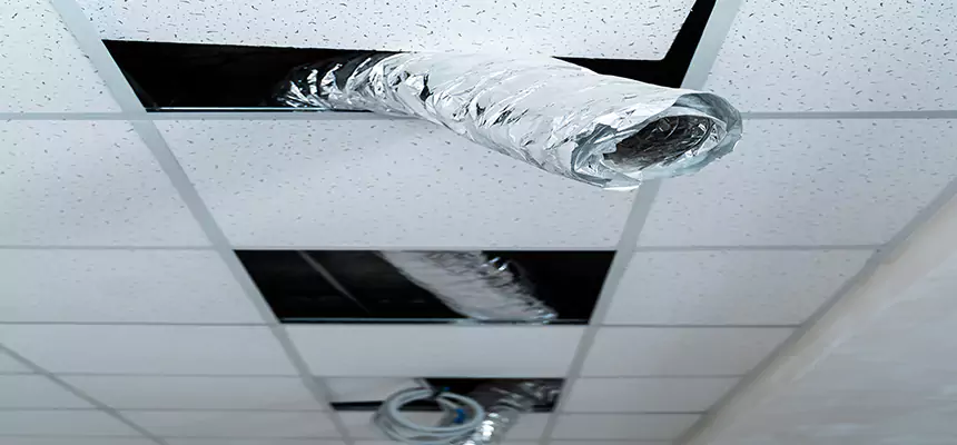 Our Air Duct Pet Hair Removal Services in Ashwaubenon, WI