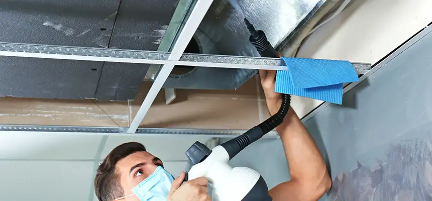 Our Air Duct Rodent Removal Services in Ashwaubenon, WI