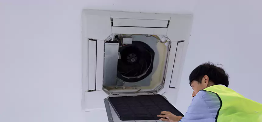 Our Dryer Vent Sanitization Service Services in Ashwaubenon, WI
