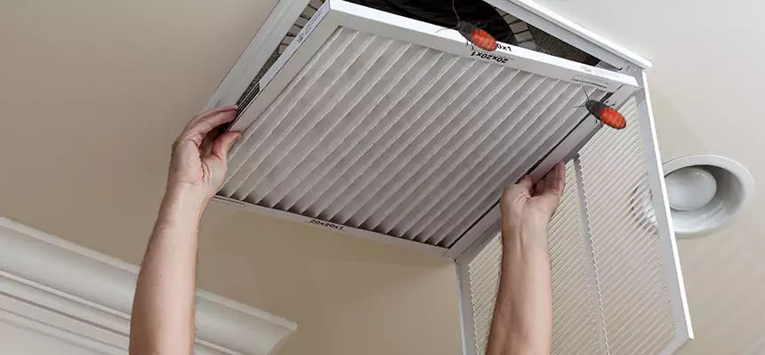 Our Insect Removal from Air Ducts Services in Ashwaubenon, WI