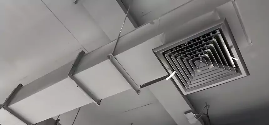 Our Rodent Droppings In Vents Services in Ashwaubenon, WI