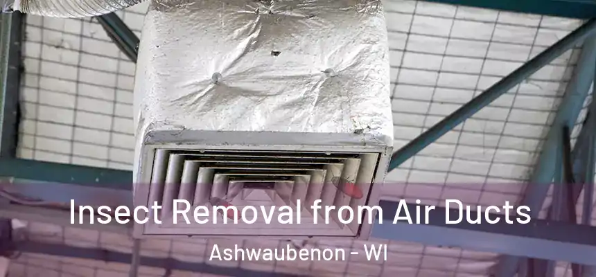  Insect Removal from Air Ducts Ashwaubenon - WI
