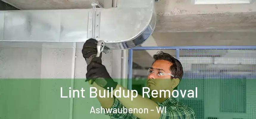  Lint Buildup Removal Ashwaubenon - WI