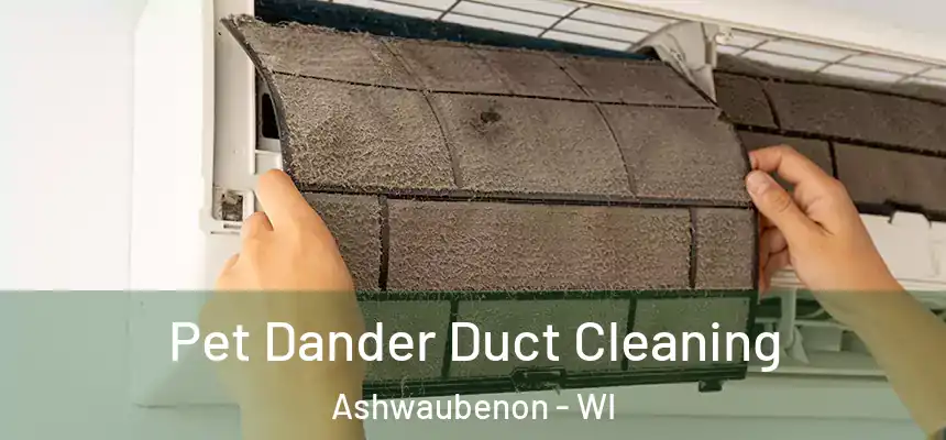 Pet Dander Duct Cleaning Ashwaubenon - WI