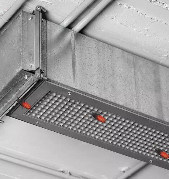 About Air Duct Cockroach Removal in Ashwaubenon, WI