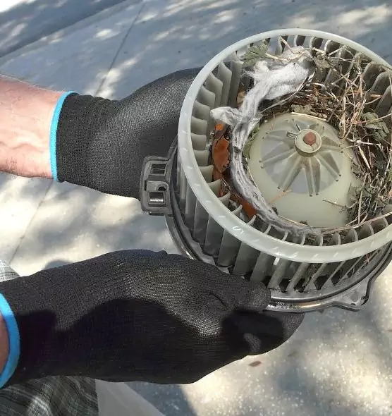 About Air Duct Mice Removal in Ashwaubenon, WI