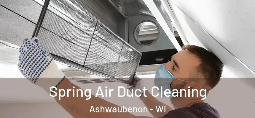 Spring Air Duct Cleaning Ashwaubenon - WI