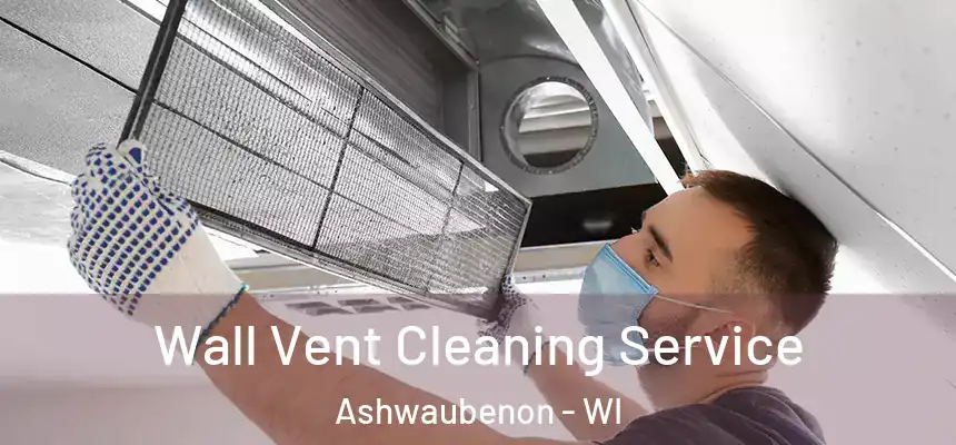 Wall Vent Cleaning Service Ashwaubenon - WI